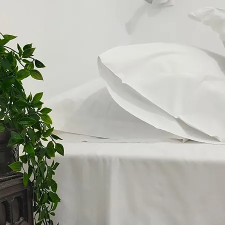 Anticlea Ii * Vathy (Ithaca)