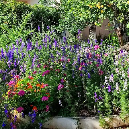 Anticlea Ii Ferienhaus Vathy (Ithaca)