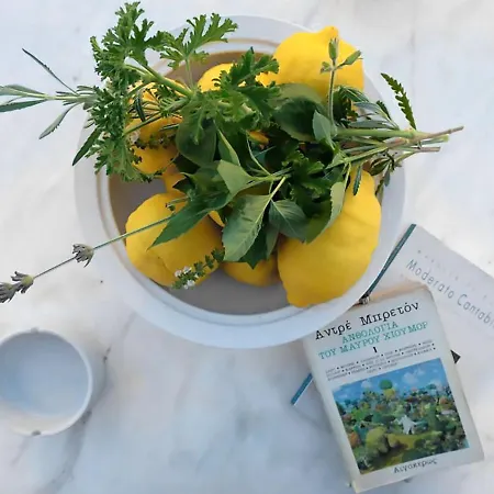 別荘 Anticlea Ii *