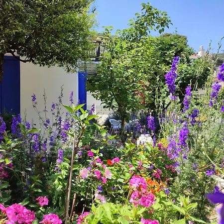 Anticlea Ii バティ