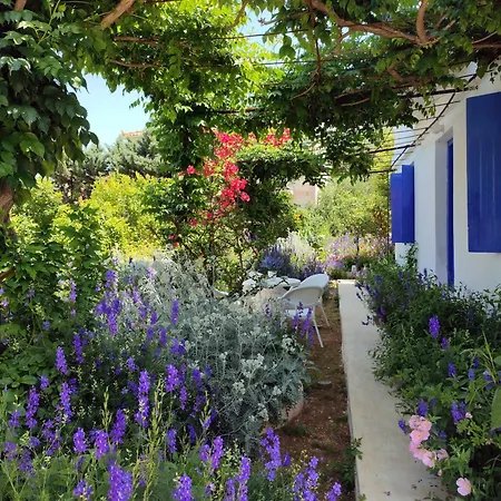 Anticlea Ii * Vathy (Ithaca)