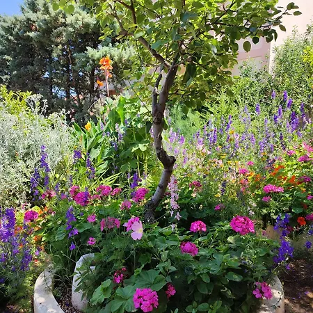 Anticlea Ii Tatil Evi