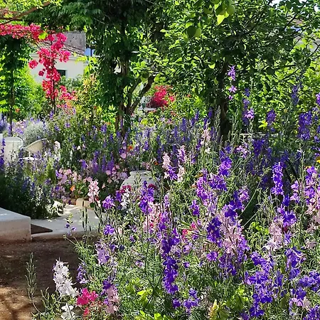 Anticlea Ii 別荘 *