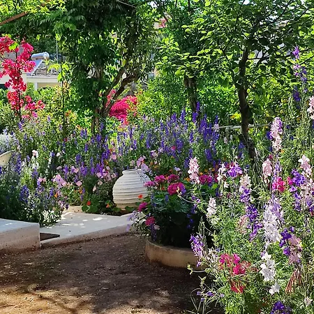 Tatil Evi Anticlea Ii *