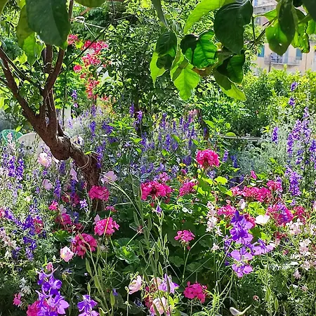 別荘 Anticlea Ii バティ