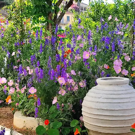 Anticlea Ii * バティ