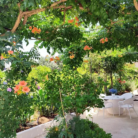 Tatil Evi Anticlea Ii Vathy (Ithaca)